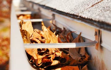 White Roding Or White Roothing gutter cleaning companies