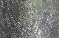 White Roding Or White Roothing fibreglass roof work