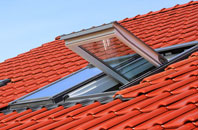 White Roding Or White Roothing roof window