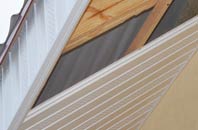 rated White Roding Or White Roothing soffit repair companies